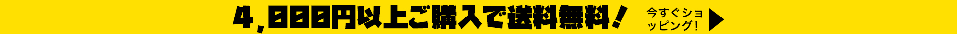 free-shipping1
