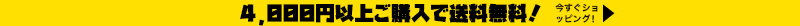 free-shipping2